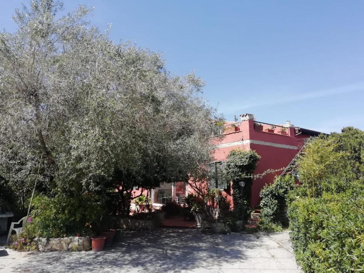 Apartamento Il Vecchio Lentisco Alguer Exterior foto