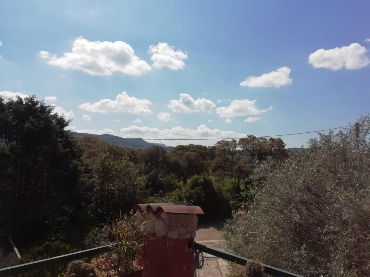 Apartamento Il Vecchio Lentisco Alguer Exterior foto