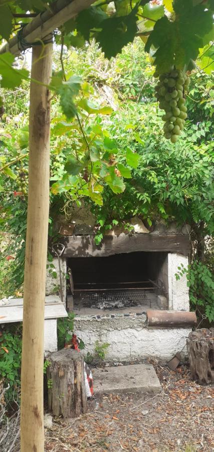 Apartamento Il Vecchio Lentisco Alguer Exterior foto
